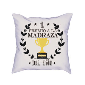 Cojín 1er premio a la madraza del año